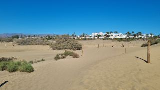 2023-GC--Mapalomas dunas-S123-112.jpg